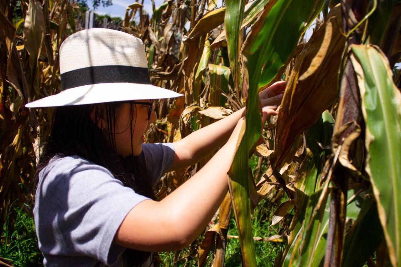 Rural - La Isabela Homestay *